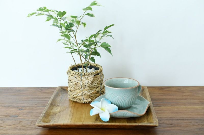 セラドン焼き カップ＆ソーサー(ロータス) | KAJA Onlineshop
