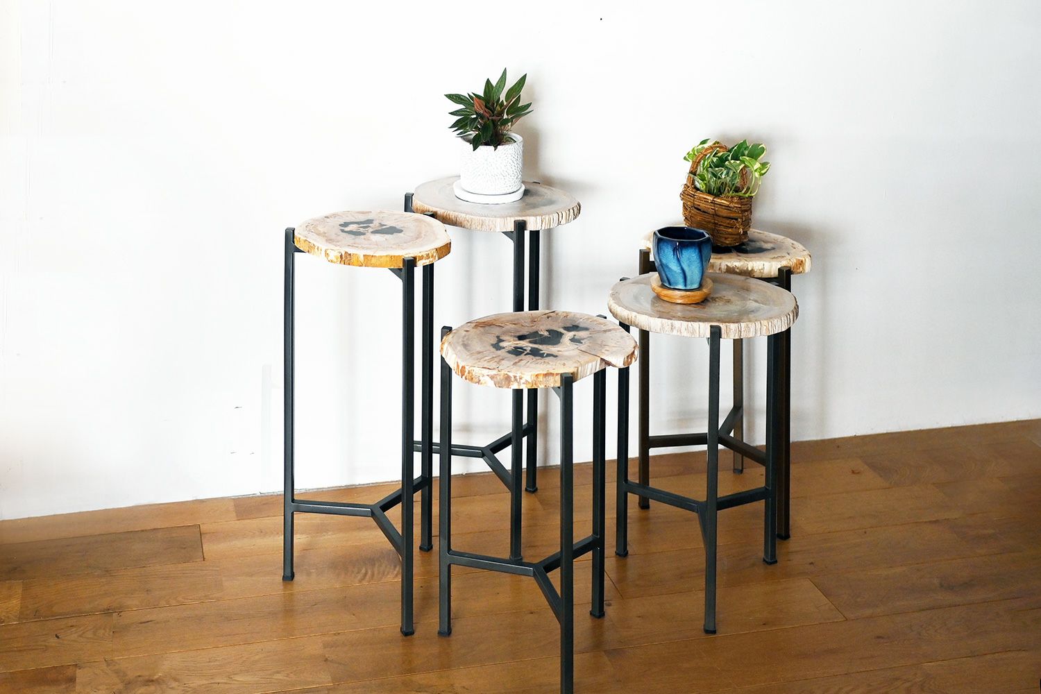 KAJA カジャ 木化石 サイドテーブル (H55) 木化石を使ったインテリアになるテーブル 木化石 サイドテーブル(H55)