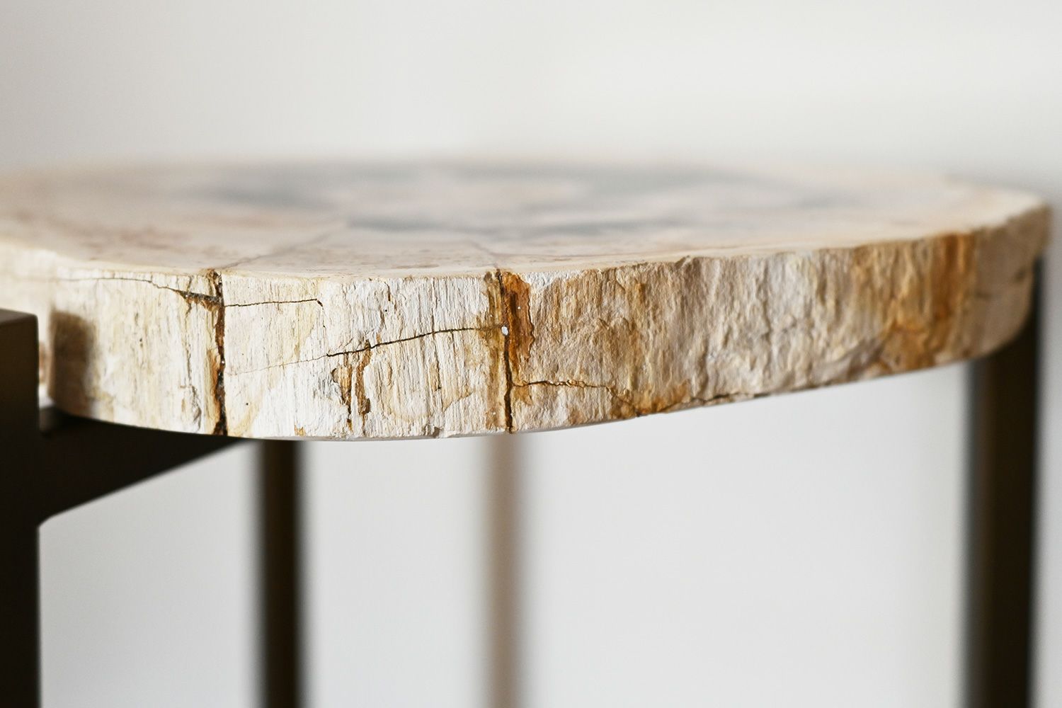 KAJA カジャ 木化石 サイドテーブル (H55) 木化石を使ったインテリアになるテーブル 木化石 サイドテーブル(H55)