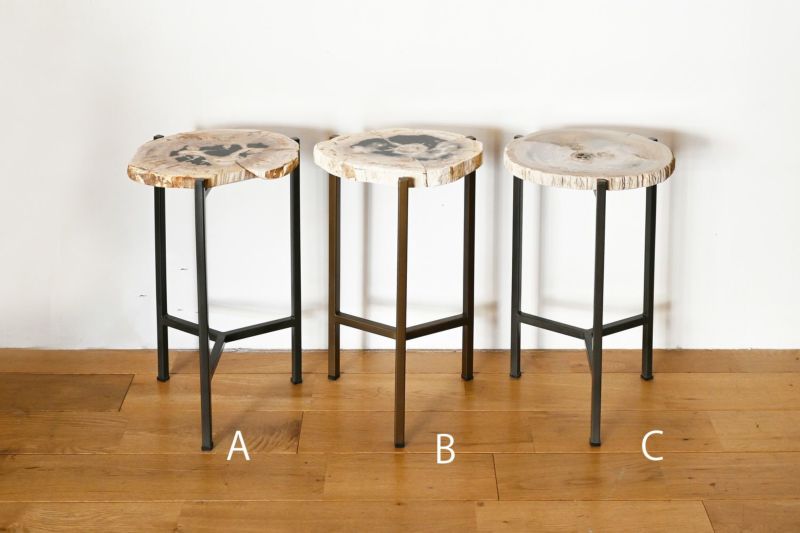 貴重な木化石のスツールとテーブル