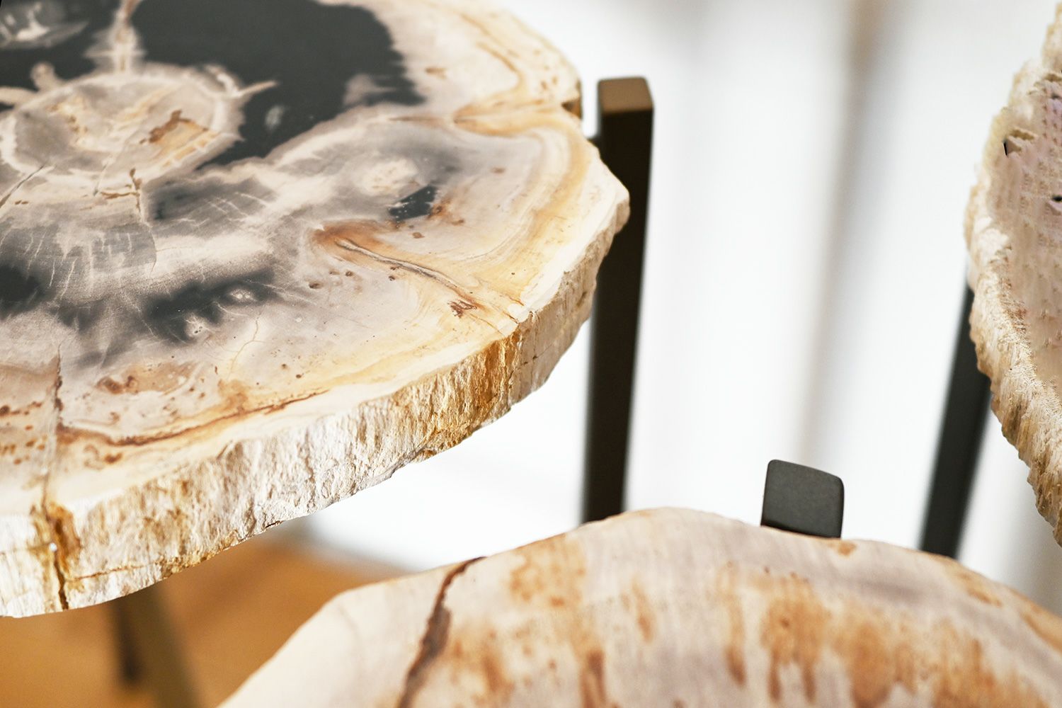 自然の美と現代的なデザインを組み合わせた 木化石 サイドテーブル(H45)