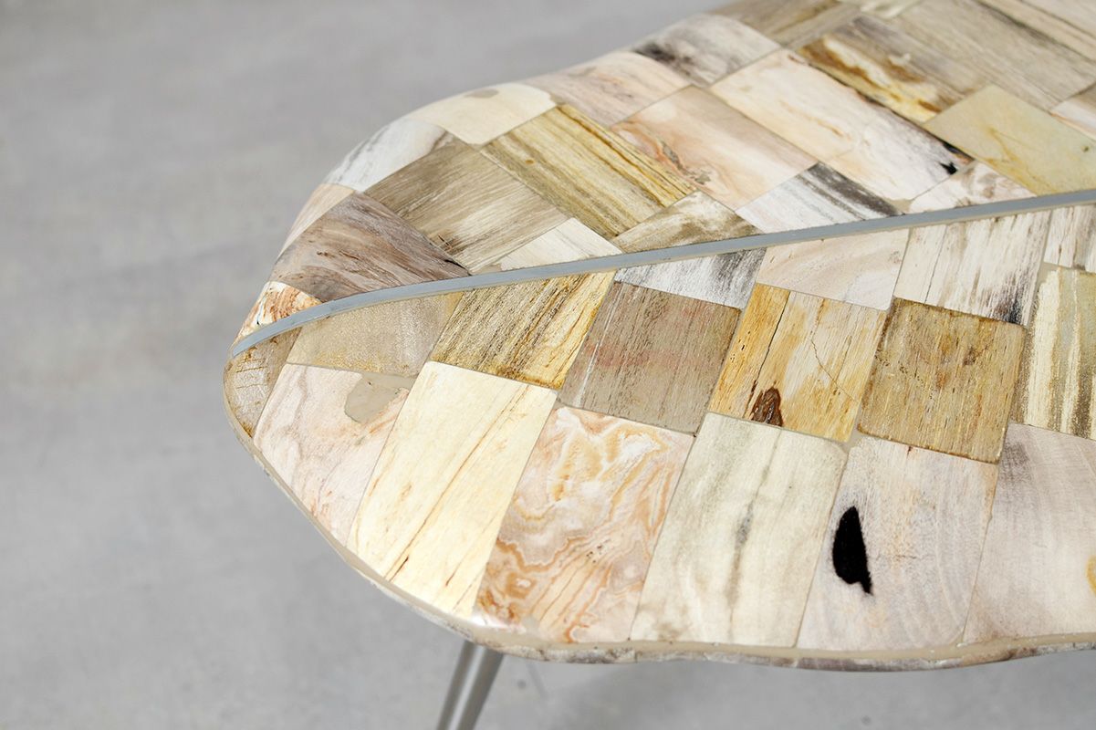 KAJA カジャ 木化石 サイドテーブル (H55) オブジェのような存在感と自然のあたたかみを感じるテーブル 木化石